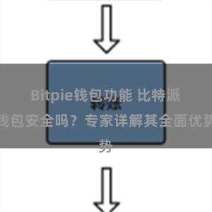 Bitpie钱包功能 比特派钱包安全吗？专家详解其全面优势