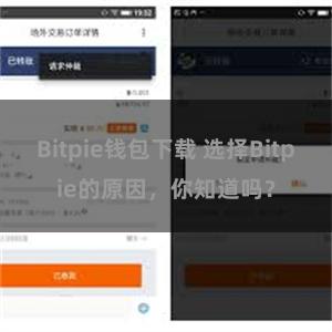 Bitpie钱包下载 选择Bitpie的原因，你知道吗？