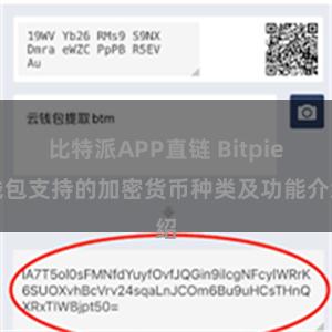 比特派APP直链 Bitpie钱包支持的加密货币种类及功能介绍