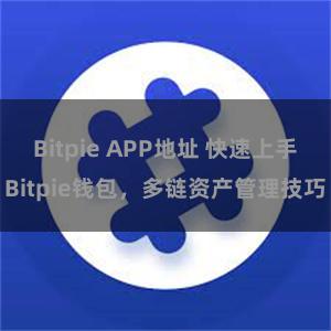 Bitpie APP地址 快速上手Bitpie钱包，多链资产管理技巧