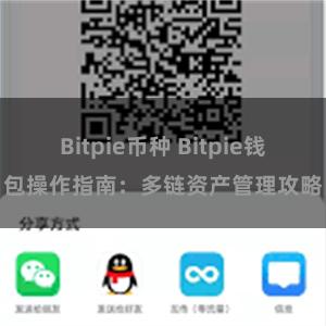 Bitpie币种 Bitpie钱包操作指南：多链资产管理攻略