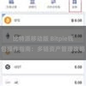 比特派移动版 Bitpie钱包操作指南：多链资产管理攻略