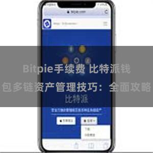 Bitpie手续费 比特派钱包多链资产管理技巧：全面攻略