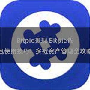 Bitpie提现 Bitpie钱包使用技巧：多链资产管理全攻略