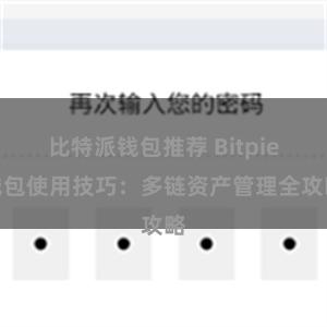 比特派钱包推荐 Bitpie钱包使用技巧：多链资产管理全攻略