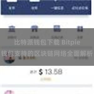 比特派钱包下载 Bitpie钱包支持的区块链网络全面解析