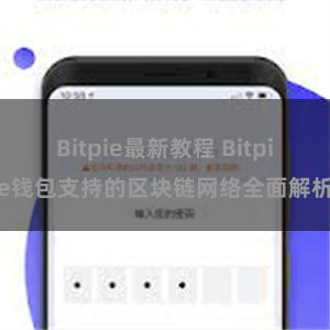 Bitpie最新教程 Bitpie钱包支持的区块链网络全面解析