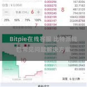 Bitpie在线客服 比特派钱包常见问题解决方案