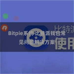 Bitpie系统 比特派钱包常见问题解决方案