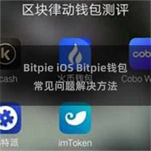 Bitpie iOS Bitpie钱包常见问题解决方法