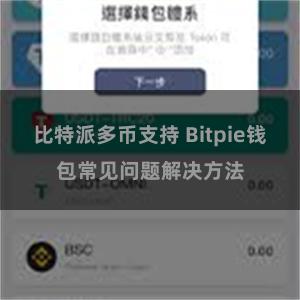 比特派多币支持 Bitpie钱包常见问题解决方法