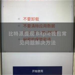 比特派提现 Bitpie钱包常见问题解决方法