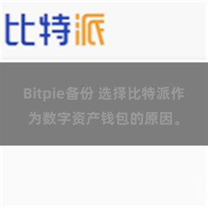 Bitpie备份 选择比特派作为数字资产钱包的原因。