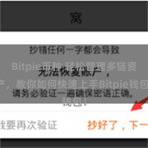 Bitpie币种 轻松管理多链资产，教你如何快速上手Bitpie钱包！