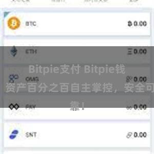 Bitpie支付 Bitpie钱包：资产百分之百自主掌控，安全可靠！