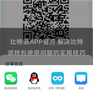 比特派APP官方 解决比特派钱包使用问题的实用技巧