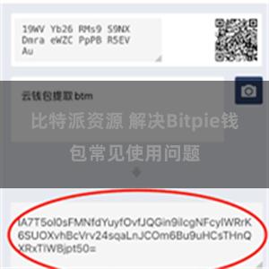 比特派资源 解决Bitpie钱包常见使用问题