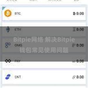 Bitpie网络 解决Bitpie钱包常见使用问题