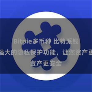 Bitpie多币种 比特派钱包：强大的隐私保护功能，让您资产更安全