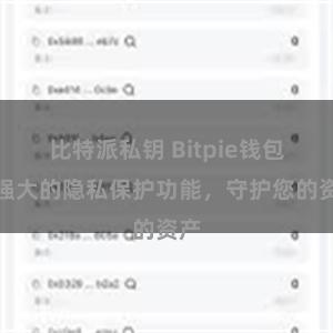 比特派私钥 Bitpie钱包：强大的隐私保护功能，守护您的资产