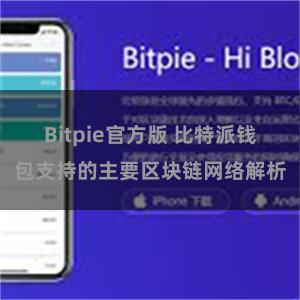 Bitpie官方版 比特派钱包支持的主要区块链网络解析