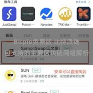 Bitpie免费版 比特派钱包支持的主要区块链网络解析