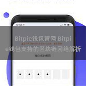 Bitpie钱包官网 Bitpie钱包支持的区块链网络解析