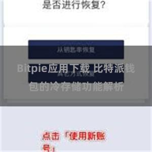 Bitpie应用下载 比特派钱包的冷存储功能解析