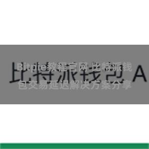 Bitpie教程官网 比特派钱包交易延迟解决方案分享