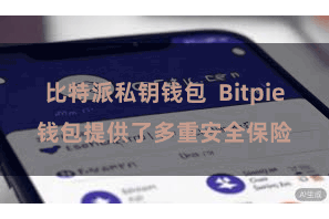 比特派私钥钱包  Bitpie钱包提供了多重安全保险