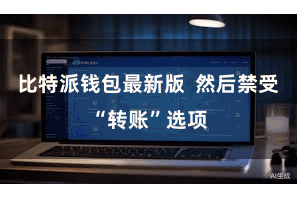 比特派钱包最新版  然后禁受“转账”选项