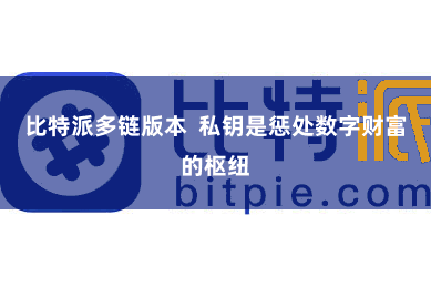 比特派多链版本  私钥是惩处数字财富的枢纽