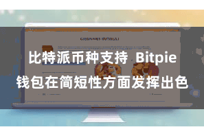 比特派币种支持 Bitpie钱包在简短性方面发挥出色