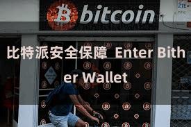 比特派安全保障  Enter Bither Wallet